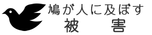 鳩が人に及ぼす被害